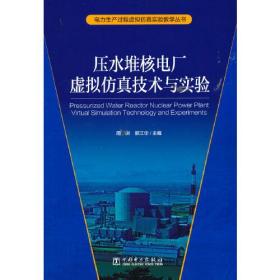 电力生产过程虚拟仿真技术丛书 压水堆核电厂虚拟仿真技术与实验