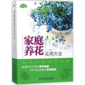 家庭养花实用大全（春夏秋冬一年四季的养护技巧，轻松打造室内绿意，呵护全家身心健康）