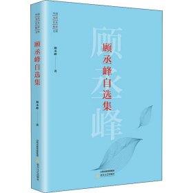 中国当代艺术批评文库—顾丞峰自选集