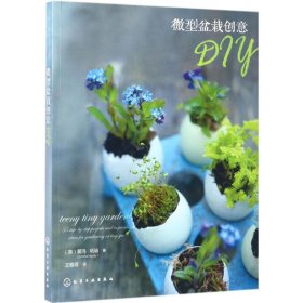 微型盆栽创意DIY