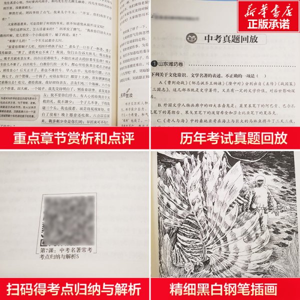 海底两万里 七年级 无障碍阅读+中考考点 统编语文教材指定阅读丛书