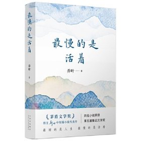 最慢的是活着(第十一届茅盾文学奖得主乔叶中短篇小说代表作)