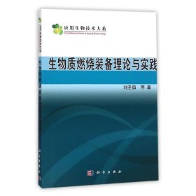 生物质燃烧装备理论与实践