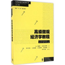 高级微观经济学教程