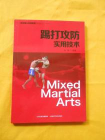 踢打攻防实用技术/综合格斗实用教程系列丛书