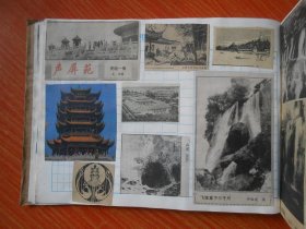 报花选登（私人剪报）