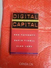 Digital Capital :Harnessing the Power of Business Webs