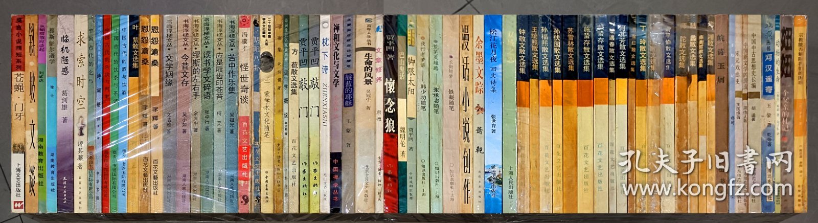 应是履齿印苍苔