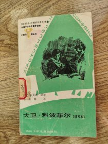 大卫 科波菲尔（缩写本）