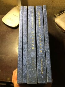 上海化学工业区物流有限公司管理制度汇编（5册合售）公路运输卷、SECCO仓储管理卷、铁路管理卷、高化项目卷、公司卷  2013版