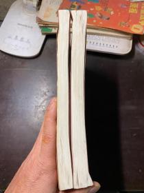 房地产评估实例选编 第五册 上下册全