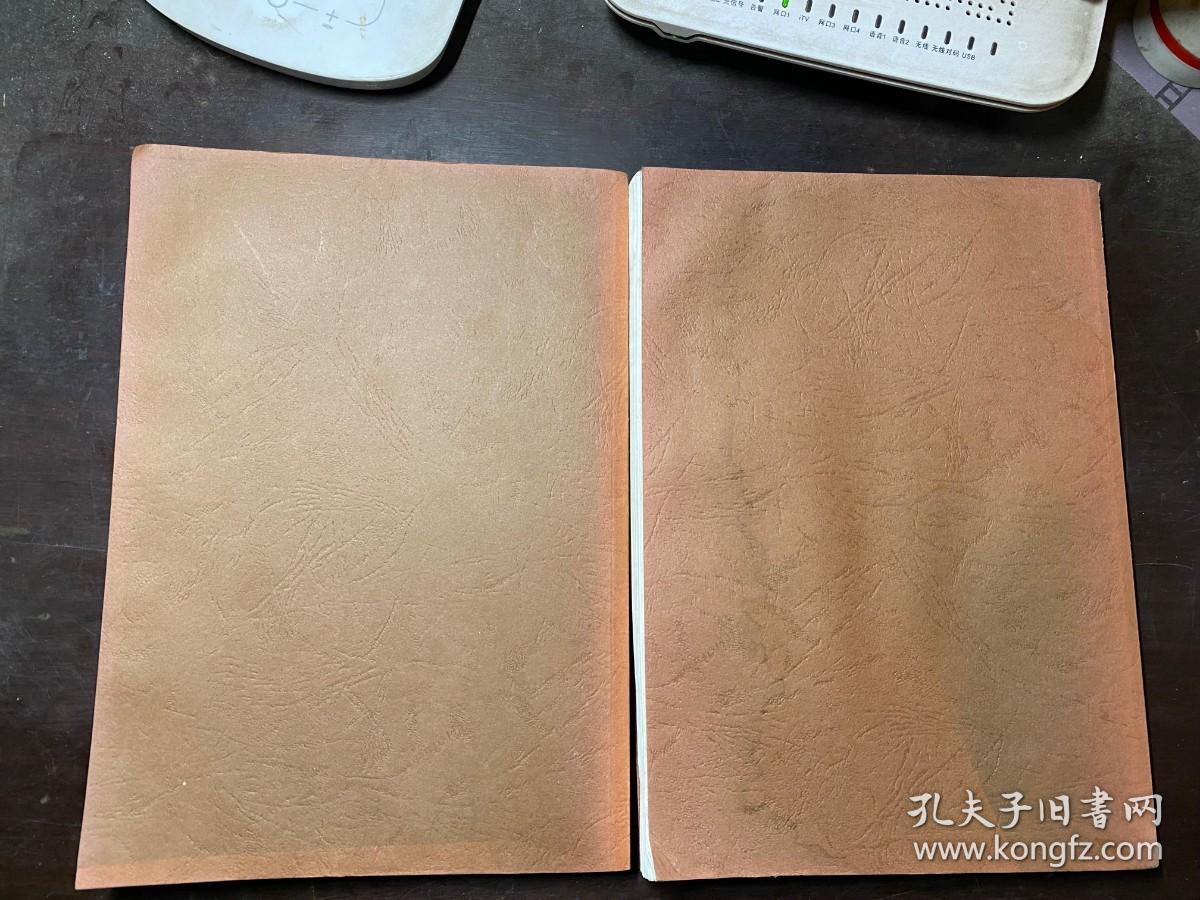 房地产评估实例选编 第五册 上下册全