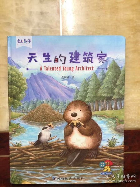 天生的建筑家（爱上数学）精装绘本 学前教育 数学课 教学参考资料 干净整洁