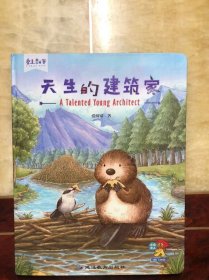 天生的建筑家（爱上数学）精装绘本 学前教育 数学课 教学参考资料 干净整洁