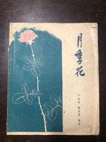 月季花（花卉栽培丛书）卢淮甫 屠省宽编著 1959年版1960年印