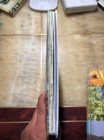 天生的建筑家（爱上数学）精装绘本 学前教育 数学课 教学参考资料 干净整洁