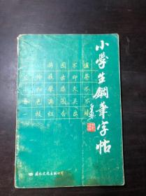 小学生钢笔字帖 徐子久书