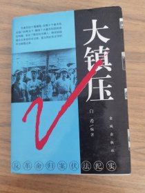 大镇压－反革命归案伏法纪实