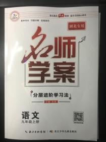 落实核心素养+湖北专用冲刺2024+名师学案分层进阶学习法（学生版）（含知识手册+试卷）