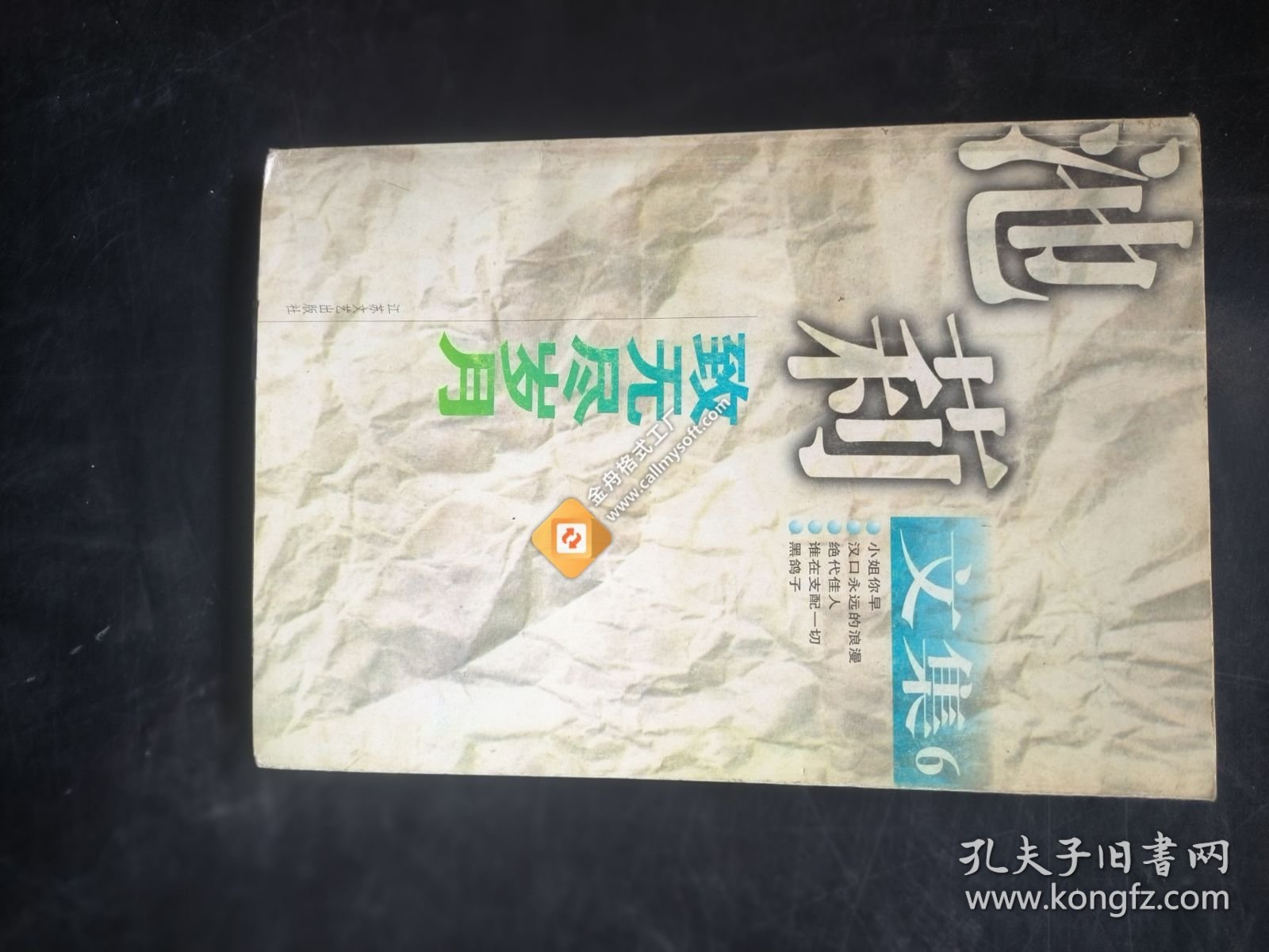 致无尽岁月-池莉文集6