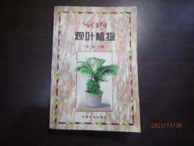 室内观叶植物