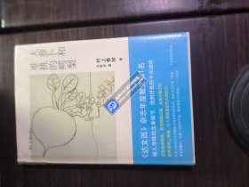 大萝卜和难挑的鳄梨：村上Radio