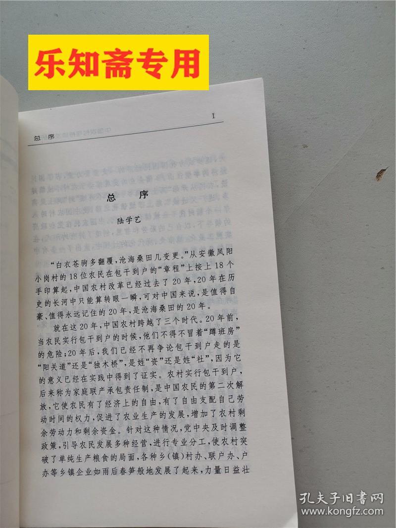 中国农村可持续发展研究:发展的社会限制与社会资本的生产