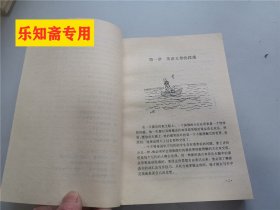 实用英语作文