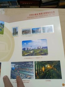 【罕见邮册】平顶山煤业（集团）有限责任公司邮票珍藏
