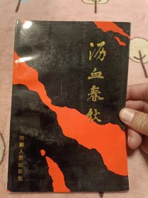 沥血春秋（新密历史）