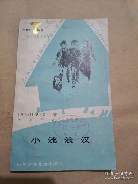 小流浪汉