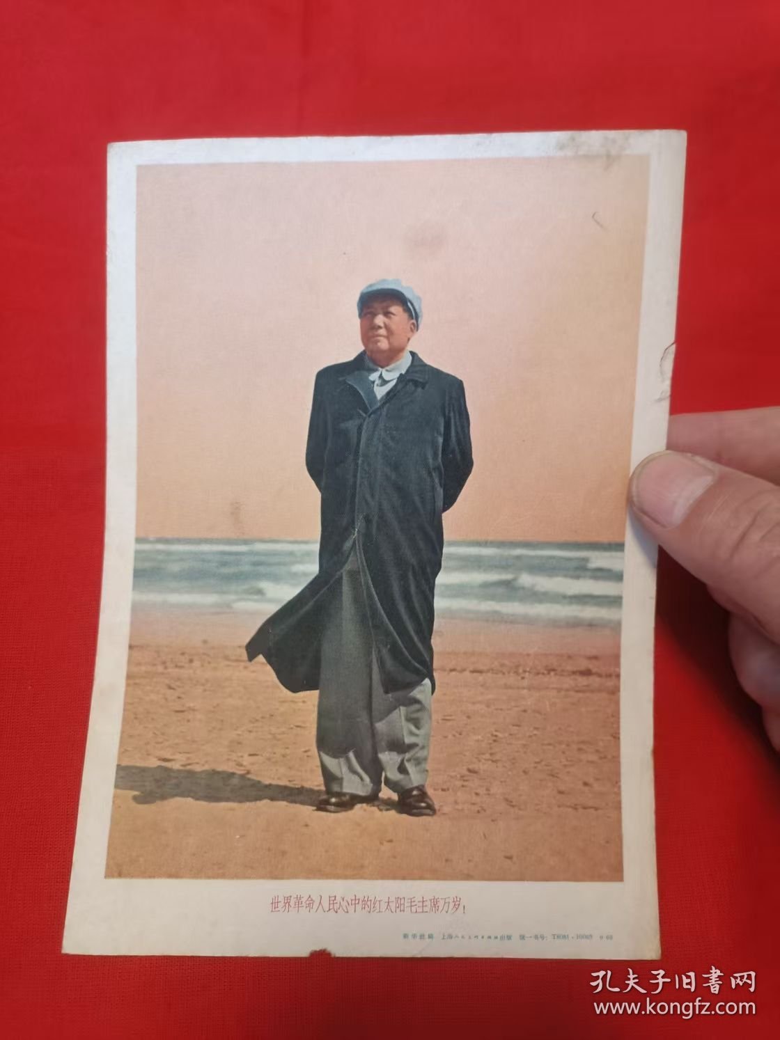 世界革命人民心中的红太阳毛主席万岁