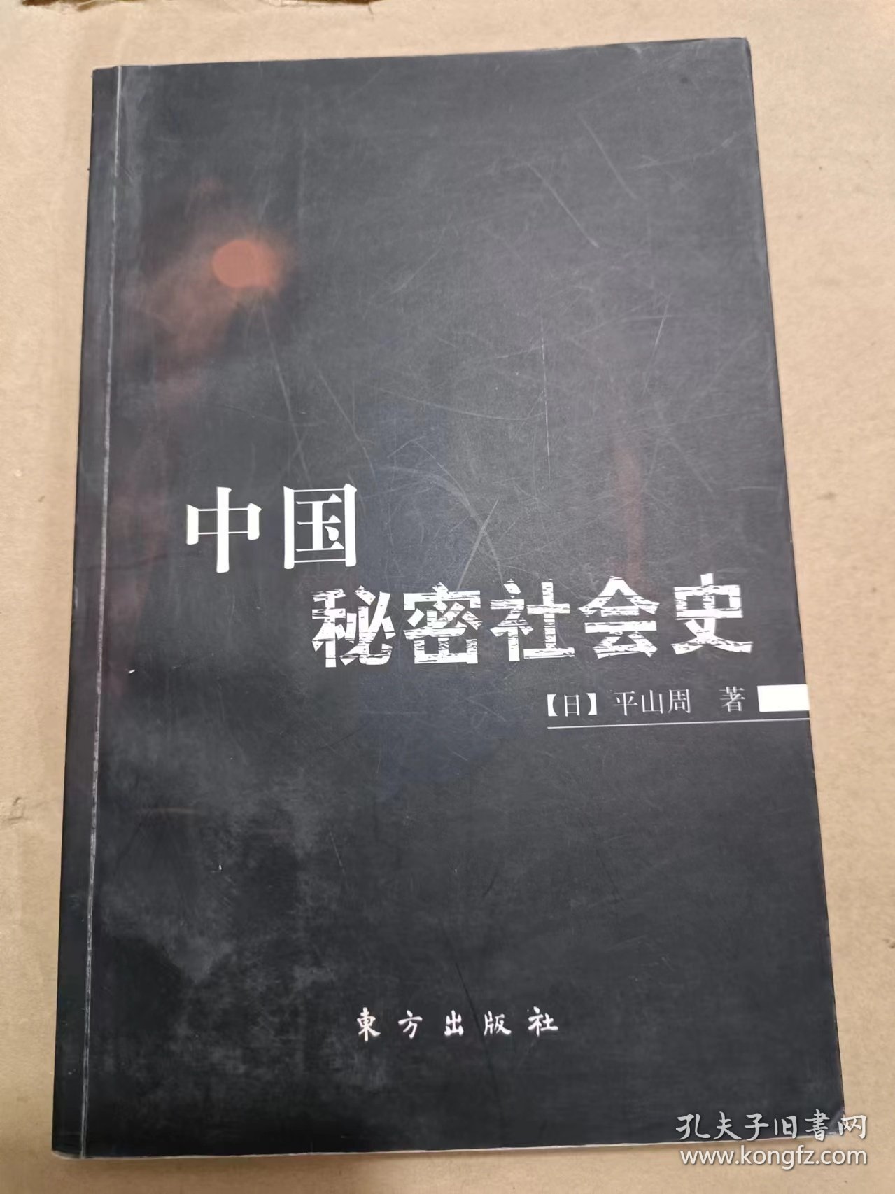 中国秘密社会史.