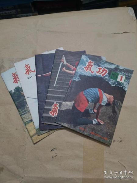 气功 1985年1-5册期合售