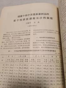 福建茶叶 1983年第1、2、3期合售（16开）沙南窗柜---下放