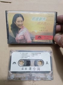 老磁带：歌坛新秀沈小岑