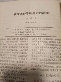 福建茶叶 1983年第1、2、3期合售（16开）沙南窗柜---下放