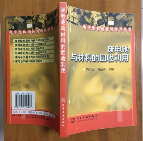 废电池与材料的回收利用_电子废料回收与利用丛书