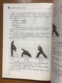 形意拳/刘敬儒内家拳丛书