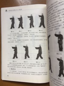 形意拳/刘敬儒内家拳丛书