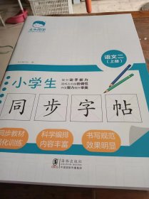 （人教版）大头同学小学生同步字帖2年级上册