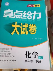 2023春亮点给力大试卷九年级化学下册人教版初三9年级教材课时提优作业同步练习期中期末单元测试卷