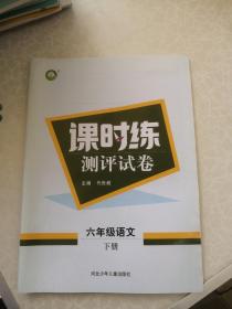 课时练测评试卷—六年级语文下册