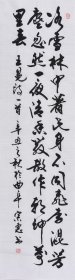 【名家书法作品】山东舜源书画艺术院院士，当代书法名家朱老师亲笔手写行书书法作品《白梅》SF6232