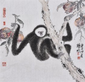 【名家真迹】【中国美术家协会会员】高老师 其花鸟作品空灵秀逸，水晕墨彰，格调高雅，风格独特。原创花鸟画《猿猴石榴图》HN14685 三尺斗方（50×50厘米），带合影