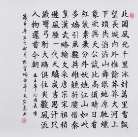 【九年老店，六千好评】【真迹字画，来自本人】山东舜源书画艺术院院士，当代书法名家朱老师亲笔手写行书书法作品《沁园春 雪》SF5981