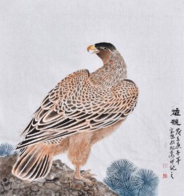 【收藏推荐~参展作品】中国美术家画院院士宋老师《雄视》HN14766，宋老师毕业于鲁迅美术学院国画系，中国国家画院唐秀玲工作室画家、其工笔画作品文雅庄重，色彩丰富，是难得一见的精品，欢迎收藏！！！