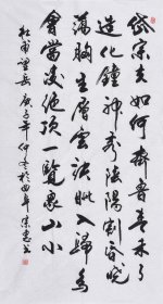 【名家书法作品】山东舜源书画艺术院院士，当代书法名家朱老师亲笔手写行书书法作品《杜甫 望岳》SF5811