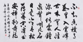 【九年老店，六千好评】【取自本人 终身保真】山东舜源书画艺术院院士，当代书法名家朱老师亲笔手写行书书法作品《过香积寺》SF5756