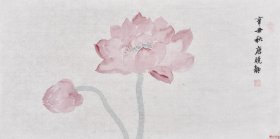 【九年老店，六千好评】【100%纯手绘字画】当代实力花鸟画家唐老师国画作品《无染》HN16300